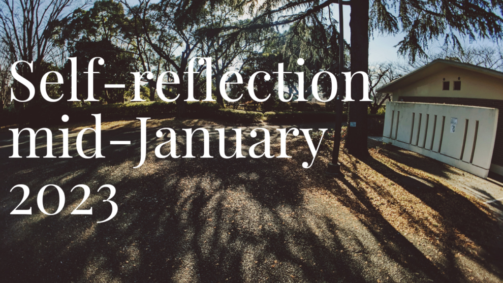 Self-reflection – Mid-January 2023