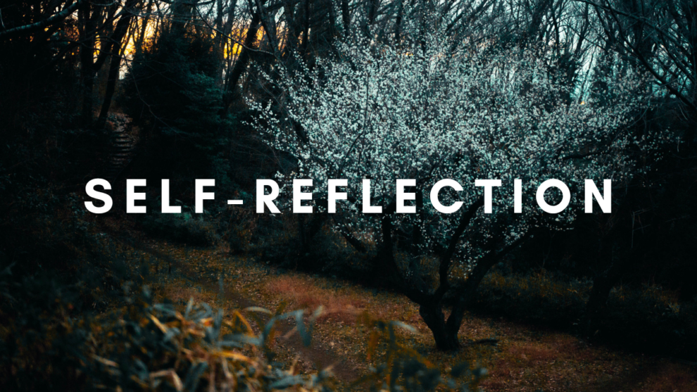 Self-reflection – Early February 2024